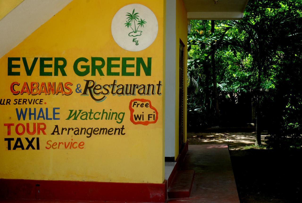 Ever Green Mirissa Zewnętrze zdjęcie